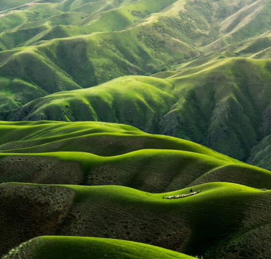 Home features 01.jpg