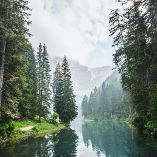 Home offerings 01.jpg