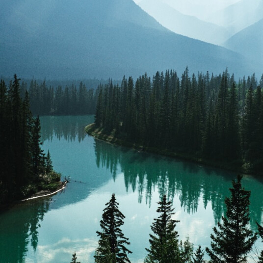 Home offerings 02.jpg