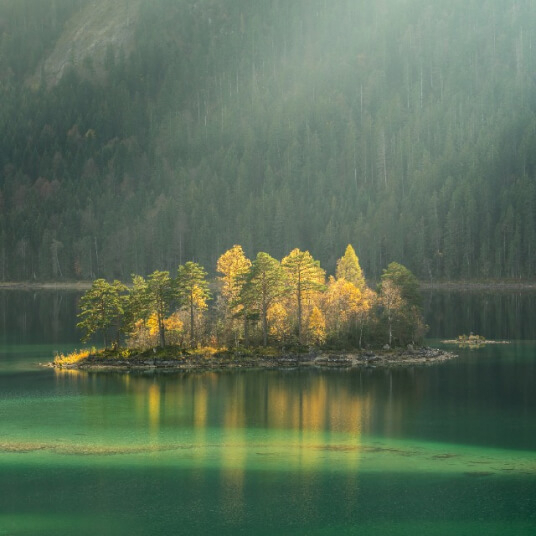 Home offerings 03.jpg